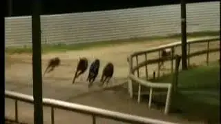 IGB - The Gain Kindness  A4/A5  11/05/2018 Race 10 - Newbridge