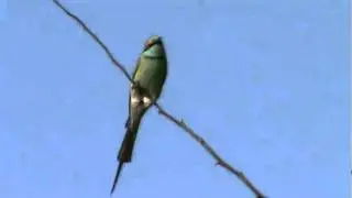 M2U00030