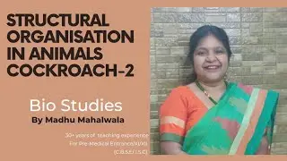 COCKROACH |L-2 | Digestive Systems | Structural Organisation in Animals| Class11 | NEET | PGTTGT