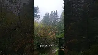 Hour 11 of the bomb cyclone / atmospheric river storm in West Sonoma County