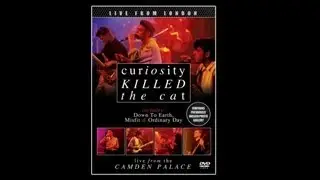 Curiosity Killed The Cat - Shallow Memory
