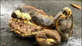 Unexpected discoveries in the stream bed