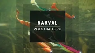 Narval и его стихия