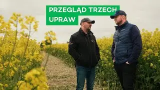 N3 W PSZENICY, 8 ODMIAN RZEPAKU I WALKA Z SZARKIEM - #336 nawozy nonstop