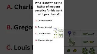 Who is known as father of modern genetics for his work with pea plants? #quiz #education #gk #shorts