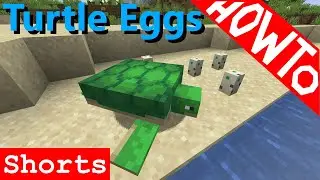 Minecraft: How to Breed Turtles and Get Turtle Eggs - Tutorial