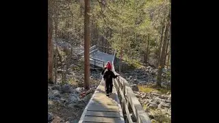 Näkökulmia rauhaan