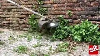 String Trimmer Brush: Clean city walls and walkways - EXTREME - SITBRUSH