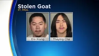 2 Arrested In St. Paul Goat Theft