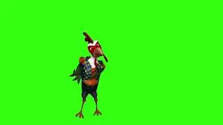gallo con tennis bailando-pantalla verde
