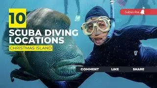 [2023] Christmas Island Dive Sites That Will Blow Your Mind: Top Scuba Diving Locations