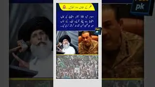 Protest is the basic right of citizens #pakistan #tahreeklabbaikpakistan #shorts