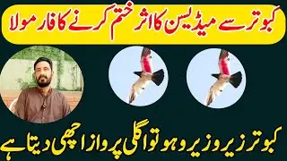 KABOOTAR SE MEDISON KA ASER KHATM KARNY KA FARMOLA 