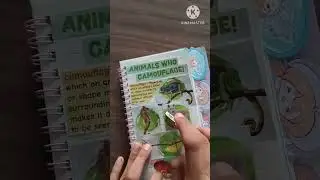 camouflage theme journal  #journal  #journaling#viral #stickers #animals