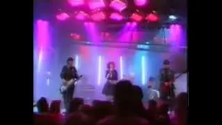 Division 4 Melbourne band on Countdown