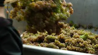 BMPCC4K Slow motion 100fps