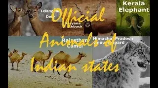 OFFICIAL ANIMALS OF INDIAN STATES