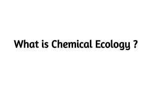 What is Chemical Ecology ?