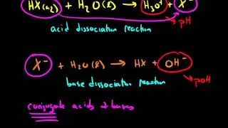 Acid Dissociation Reactions