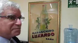Luxardo visit