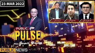 Public Pulse With Zamir Haider | Raja Amir Abbas | Rana Ahsaan Afzal | Qadir Mandokhel | 23 Mar 2022