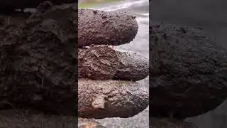 Muddy #czyszczenieśrodowiska #wykrywaniemetali