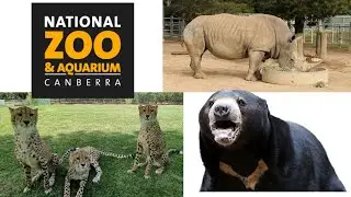 National Zoo and Aquarium in Canberra