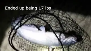 Bank Fishing Missouri River at Night Spring Catfishing - Blue Catfish