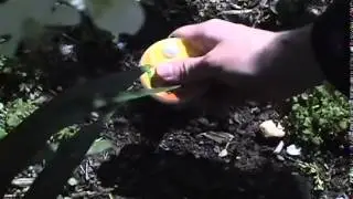 SunClalc Sunlight LED Calculator | Gardeners Edge