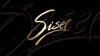 Sisel - Opportunity Overview
