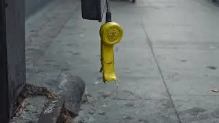 Hope Amidst Disconnect & Tyranny