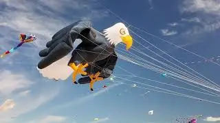 Kite Festival | Uttarayan Special | Colors of Sky 🪁