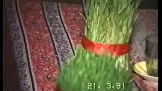 Bash Zeyzid. Novruz bayrami. 1991-ci il. I