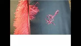Creating a Feather Pom Pom from an Ostrich Plume