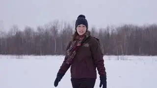 Hinterland Who's Who - Canadian Wildlife Service (Bison)