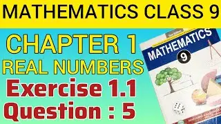Math Class 9 | Chapter 1 | Real Numbers| Exercise 1.1| Question 5