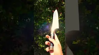 Yoshihiro Hayate ZDP-189 Super High Carbon Stainless Steel Gyuto Chefs Knife #japaneseknife