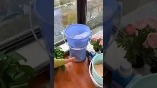 Bucket Washing Machine 🚾 #shorts #ytshorts