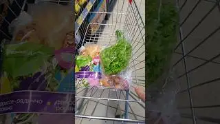 Закупилась в Магните