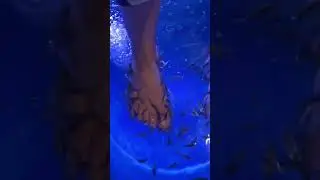 Benefits of FISH SPA🐠🐠🐠  Please SUBSCRIBE For More Videos