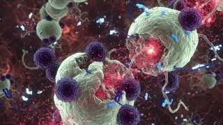 HIV PATHOGENESIS EXPLAINED SIMPLY
