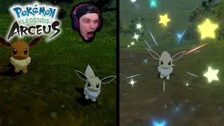 Shiny Eevee Mass Outbreak! Shiny Pokemon Live Reaction ✨