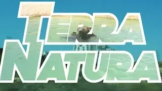 Terra Natura |BiltonTV|