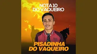 Saudade do Neguinho
