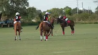 ZAMBIA VS ZIMBABWE, POLO MATCH, LILAYI POLO CLUB, LUSAKA , ZAMBIA, #polo , #sports ,  #zambia,
