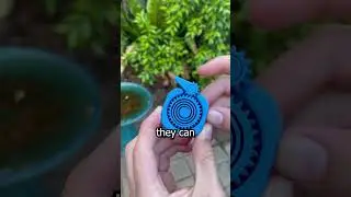 Spiral Spring Flicker Craft or Crap