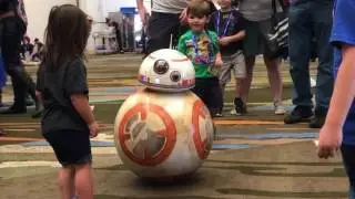 Real Life BB-8 | Star Wars Celebration Orlando 2017