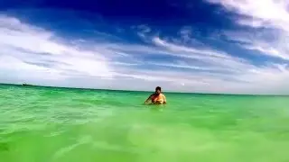 Rescue Dog Cooper Swims in The Indian Ocean