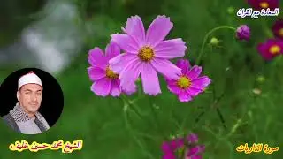 سورة الذاريات بصوت يخشع القلب | تلاوة محمد حسين خليف المجودة