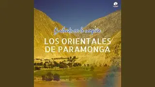 La Picazon